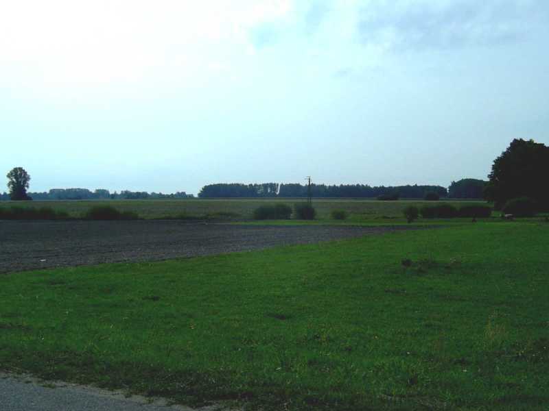 Polish countryside